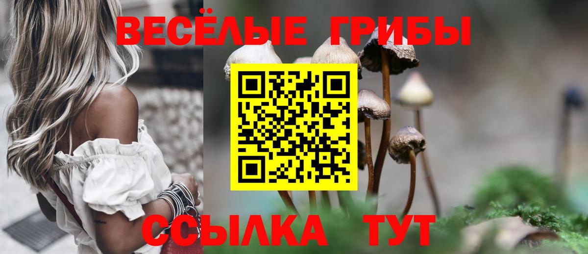 закладка  Вход с VPN  Псилоцибиновые грибы Psilocybe  Иваново  Галлюциногенные грибы Psilocybe 
