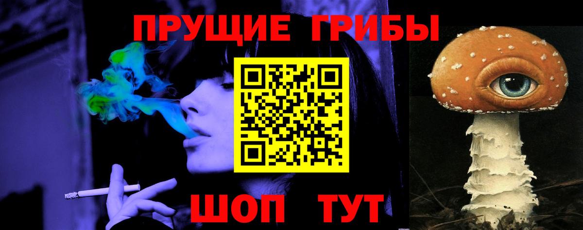 Галлюциногенные грибы Psilocybine cubensis Иваново